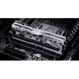 G.Skill Trident Z5 Neo F5-6000J2836G16GX2-TR5S memory module 32 GB 2 x 16 GB DDR5 6000 MHz - DIMM (Desktop) - RAM - Techbox