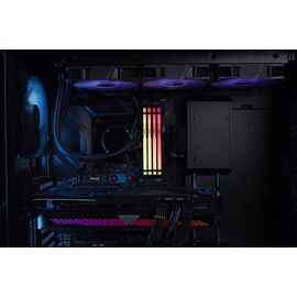 Kingston Technology FURY Beast 32GB 6000MT/s DDR5 CL30 DIMM (Kit of 2) RGB EXPO - DIMM (Desktop) - RAM - Techbox
