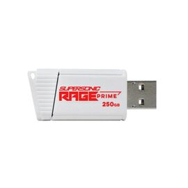 Patriot Rage Prime 600 MB/S 256 GB USB 3.2 8K IOPS | Techbox