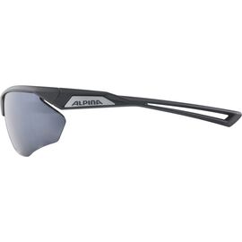 Alpina Nylos HR Sunglasses cat. 3 Grey | Techbox