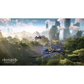 Horizon Forbidden West (UK/AR) / PlayStation 4 - PS4 Games - Games - Techbox