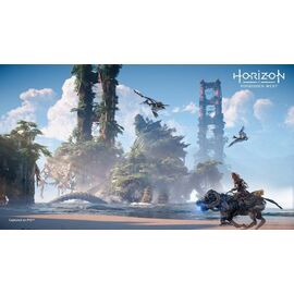 Horizon Forbidden West (UK/AR) / PlayStation 4 - PS4 Games - Games - Techbox