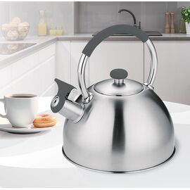 Kettle MAESTRO MR-1323 stainless steel 2.5 l | Techbox