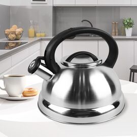 Non-electric kettle MAESTRO MR-1313 | Techbox