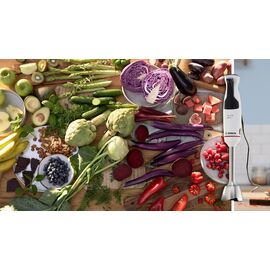 Bosch Serie 4 MSM4W210 blender 0.6 L Immersion blender 600 W Black, White - Mixers - Food preparation - Techbox