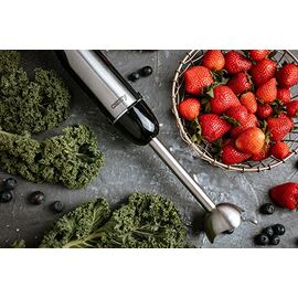 Camry CR 4615 blender Immersion blender Black,Stainless steel 700 W | Techbox