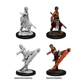 D&D Nolzur's Marvelous Miniatures Unpainted Miniatures Male Half-Elf Monk Case (6) |  Techbox