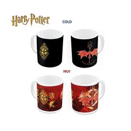 HARRY POTTER - Heat Change Mug - 11 Oz