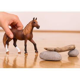 Schleich - Paso Peruano Mare (13953) / Toys