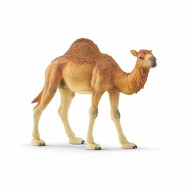 Schleich - Wild Life - Dromedary (14832) / Toys