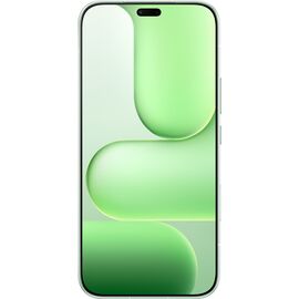 Honor 600 Lite 16.8 cm (6.6") Dual SIM Android 16.0 5G USB Type-C 8 GB 256 GB 6520 mAh Green