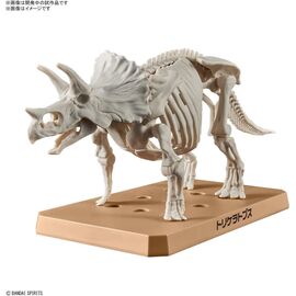 DINOSAUR - New Dinosaur Plastic Triceratops (Tentative) - Model Kit