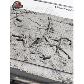 Jurassic Park III Excavation Map Velociraptor 27 cm