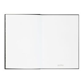 Harry Potter Premium Notebook A5 with Light Lumos Maxima