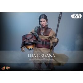 Star Wars Episode VI Movie Masterpiece Action Figure 1/6 Leia Organa (Boushh Disguise) 27 cm