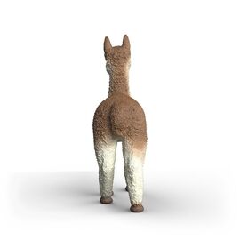 Schleich - Alpaca (14928) / Toys