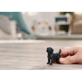 Schleich - Black Labrador Retriever puppy (14922) / Toys