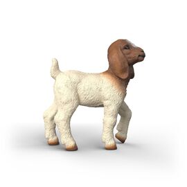 Schleich - Boer Goat Kid (14930) / Toys