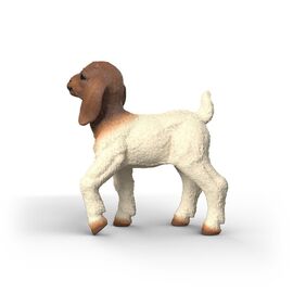 Schleich - Boer Goat Kid (14930) / Toys