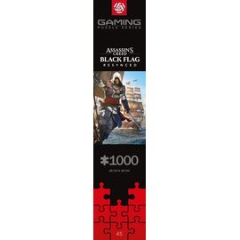 Assassin's Creed Black Flag Resynced Puzzle (1000 pieces)