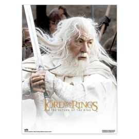 The Lord of the Rings Poster 38 x 52 cm Set of 2