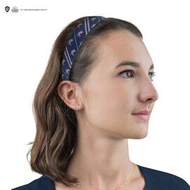 Harry Potter Classic Hair Accessories 2 Set Ravenclaw