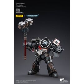 Warhammer 40k Action Figure 1/18 Grey Knights Terminator Caddon Vibova 13 cm