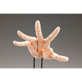 Takahiro Kagami PVC Artist Support Item Hand 1/1 Model/L Pale Orange 21 cm