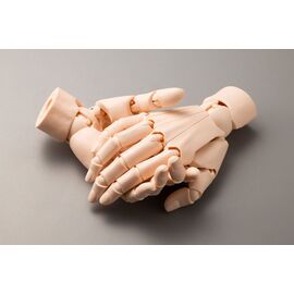 Takahiro Kagami PVC Artist Support Item Hand 1/1 Model/L Pale Orange 21 cm