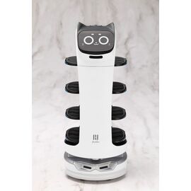 Pudu Robotics Grande ScalePlastic Model Kit BellaBot 19 cm