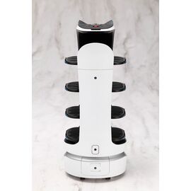 Pudu Robotics Grande ScalePlastic Model Kit BellaBot 19 cm
