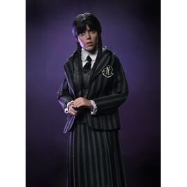 Wednesday Action Figures 2 Pack Wednesday Addams (Nevermore Uniform) and Enid 20 cm