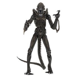Aliens Ultimate Action Figure Warrior (1986) Brown 23 cm