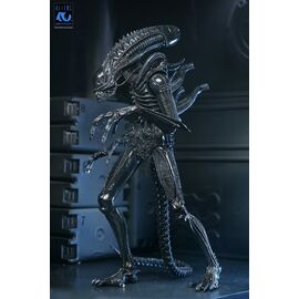 Aliens Ultimate Action Figure Warrior (1986) Xenomorph Black (40th Anniversary) 23 cm