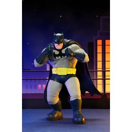 DC Comics Action Figures Series 2 15 cm Assortment (12)