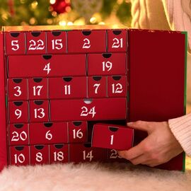 Advent Dice Calendar Exclusive Edition