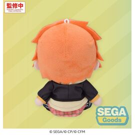 Hatsune Miku: Colorful Stage! Mysekai Plush Figure Akito Shinonome (S) 13 cm