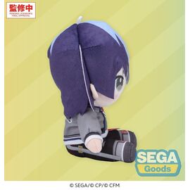 Hatsune Miku: Colorful Stage! Mysekai Plush Figure Toya Aoyagi (S) 13 cm