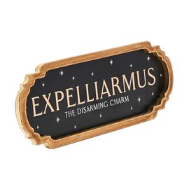 HARRY POTTER - Expelliarmus - Wall  Decoration