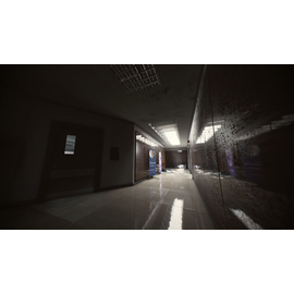 Ready or Not / PlayStation 5