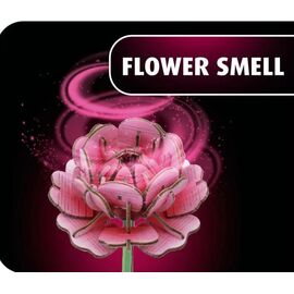 WOODEN FLOWER - Flower Garden - 181pc
