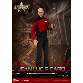 STAR TREK GENERATIONS - Jen-Luc Picard - Figure 20.5cm
