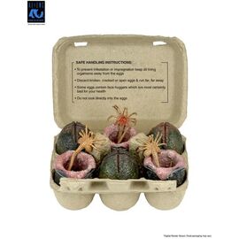 ALIENS 40TH ANNIVERSARY - Alien Eggs - 6 Accessory Pack