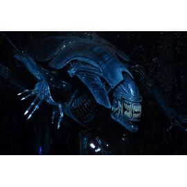 ALIENS - Alien Queen - Ultra Deluxe Figure 38cm