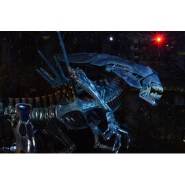 ALIENS - Alien Queen - Ultra Deluxe Figure 38cm
