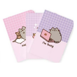 PUSHEEN - 3 Pack of Notebooks - Size A5