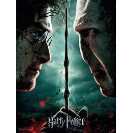 HARRY POTTER - GLASS PRINT - Harry / Voldemort - 30X40 Cm
