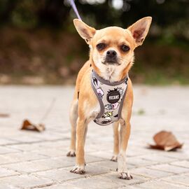 VILLAINS - Dog Reversible Harness - XXS/XS