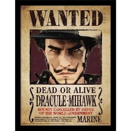ONE PIECE LIVE ACTION - Dracule Mihawk - Collector Print 30x40cm