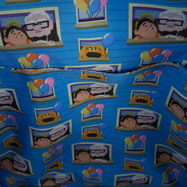 UP - Carl & Russel - Mini Backpack Loungefly